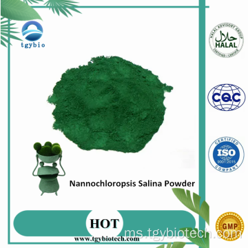 Bekalan serbuk nannochloropsis nannochloropsis salina serbuk